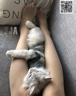 重启之极海听雷第二部